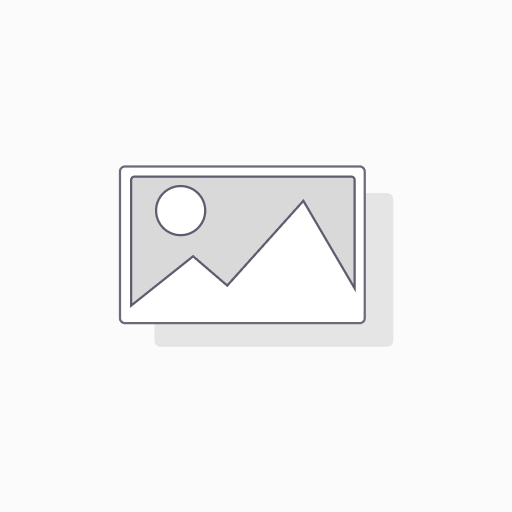 GORBEIA 20X120 1.83 M2 8 PZ BOLANZA